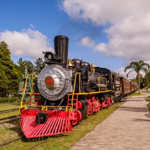 TOUR UVA E VINHO COM TREM A VAPOR